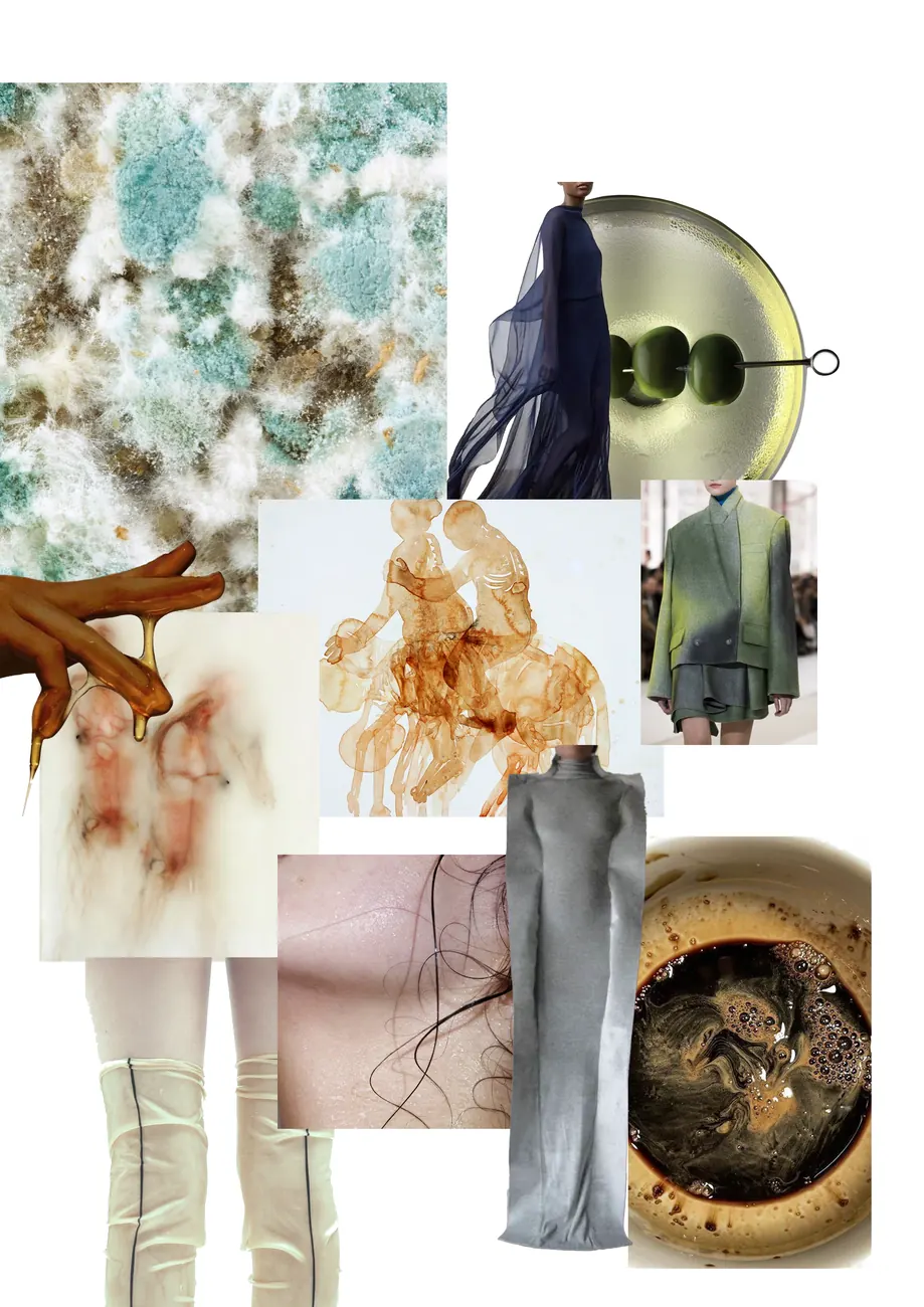 Moodboard: mold textures, stained fabric, coffee, draped grey garments